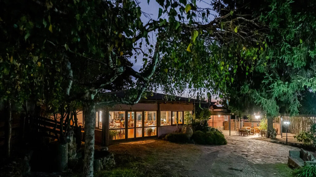 RADICI- Il ristorante nel bosco che racconta la cucina dei Castelli Romani.